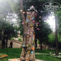 фото из отзыва ID 1544104