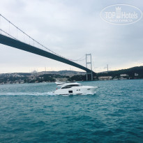 фото из отзыва ID 1544104