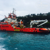 фото из отзыва ID 1544104