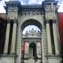 фото из отзыва ID 1544104