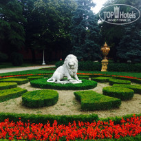 фото из отзыва ID 1544104