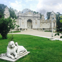 фото из отзыва ID 1544104