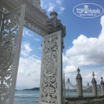 фото из отзыва ID 1544104