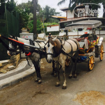 фото из отзыва ID 1544104