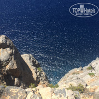 фото из отзыва ID 1544231