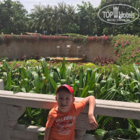 фото из отзыва ID 1544372