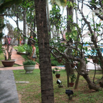 фото из отзыва ID 1544392