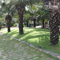 фото из отзыва ID 1544419