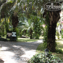 фото из отзыва ID 1544419