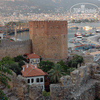 фото из отзыва ID 1544451