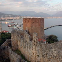 фото из отзыва ID 1544451