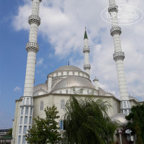 фото из отзыва ID 1544451