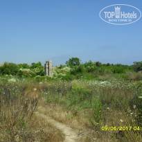 фото из отзыва ID 1544774