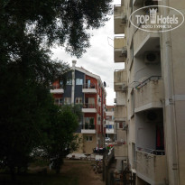 фото из отзыва ID 1545028