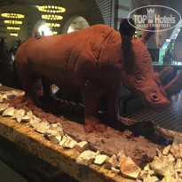 фото из отзыва ID 1545037