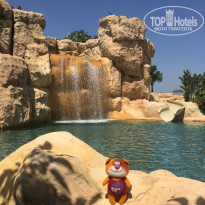 фото из отзыва ID 1545037