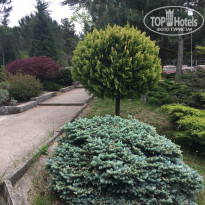 фото из отзыва ID 1545142