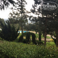 фото из отзыва ID 1545142