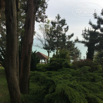 фото из отзыва ID 1545142