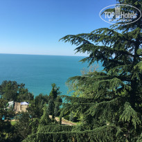 фото из отзыва ID 1545142