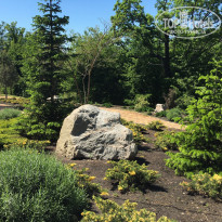 фото из отзыва ID 1545142