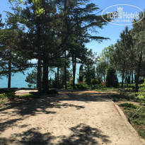 фото из отзыва ID 1545142