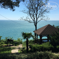 фото из отзыва ID 1545142