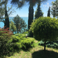 фото из отзыва ID 1545142