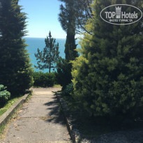 фото из отзыва ID 1545142