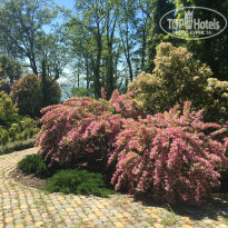 фото из отзыва ID 1545142