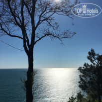 фото из отзыва ID 1545142