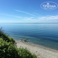 фото из отзыва ID 1545142