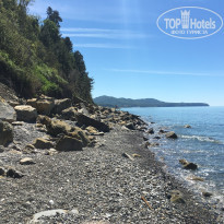 фото из отзыва ID 1545142