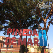 фото из отзыва ID 1545205