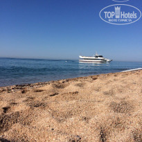 фото из отзыва ID 1545205