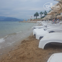 фото из отзыва ID 1545215