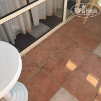 фото из отзыва ID 1545273