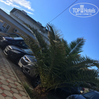 фото из отзыва ID 1545277