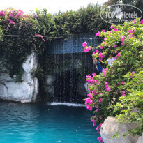 фото из отзыва ID 1545289