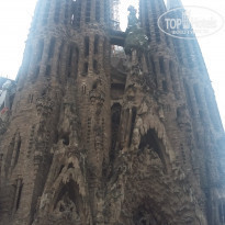 фото из отзыва ID 1545301