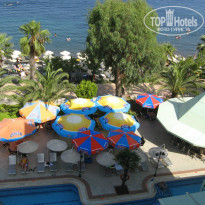 фото из отзыва ID 1545033