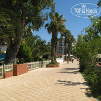 фото из отзыва ID 1545033