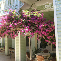 фото из отзыва ID 1545033