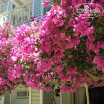 фото из отзыва ID 1545033