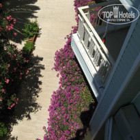 фото из отзыва ID 1545033