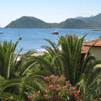 фото из отзыва ID 1545033