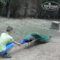 фото из отзыва ID 1544873