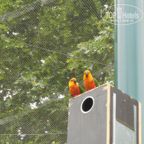 фото из отзыва ID 1544873