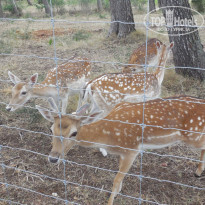 фото из отзыва ID 1544873