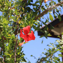 фото из отзыва ID 1545473